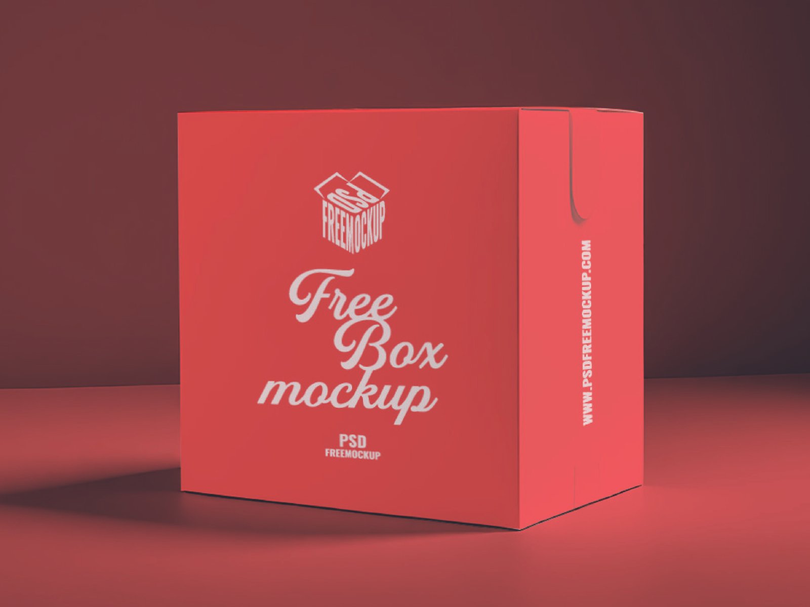 Packaging Box Mockup
